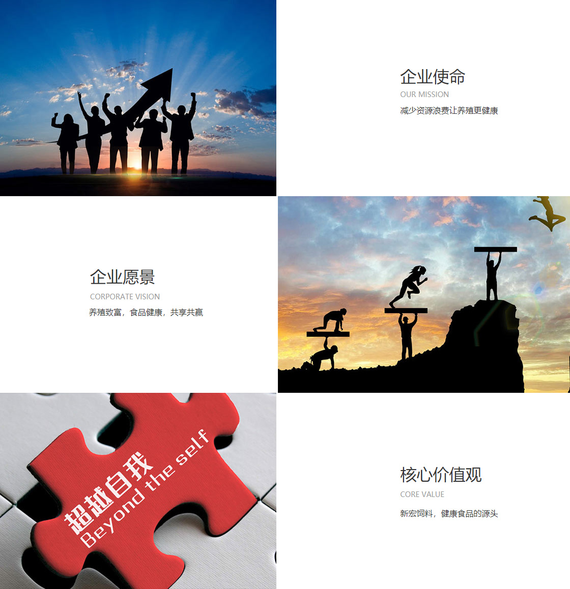 竞技宝dota2官网进入(图1)